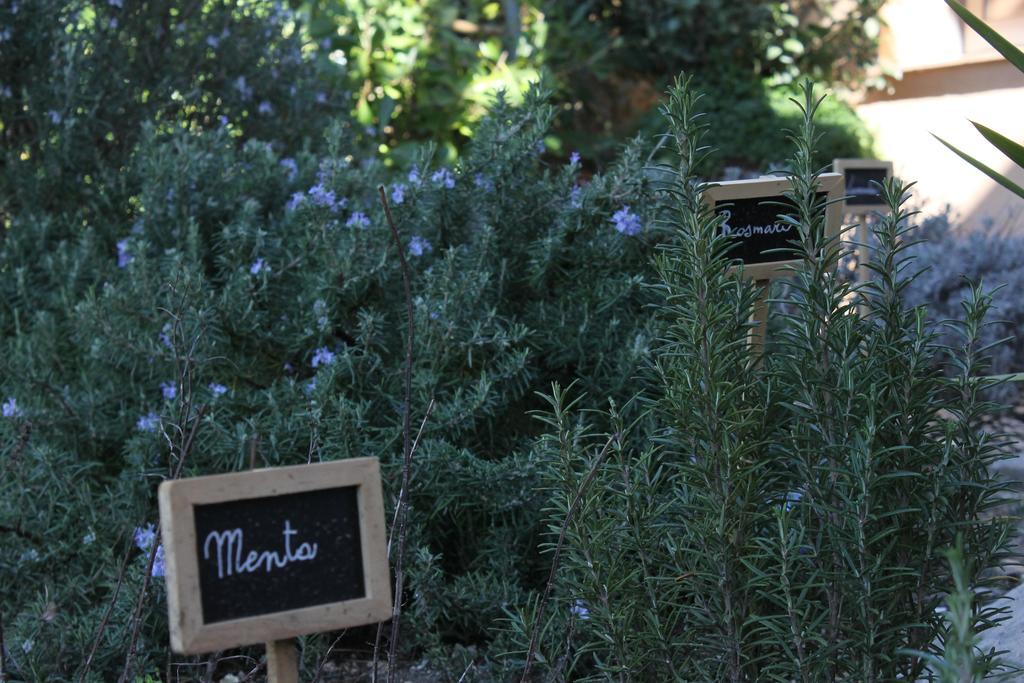 La Caladina Bed & Breakfast Mougins Dış mekan fotoğraf